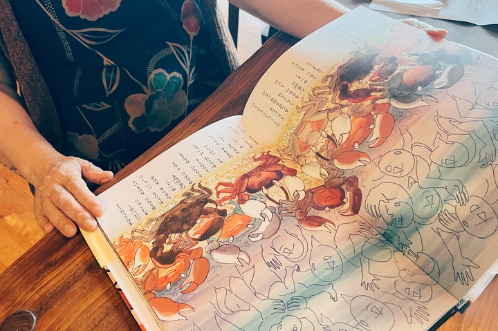 あんぱるぬゆんたコラム素材③