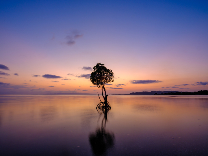 あんぱるぬゆんたコラムアイキャッチ画像