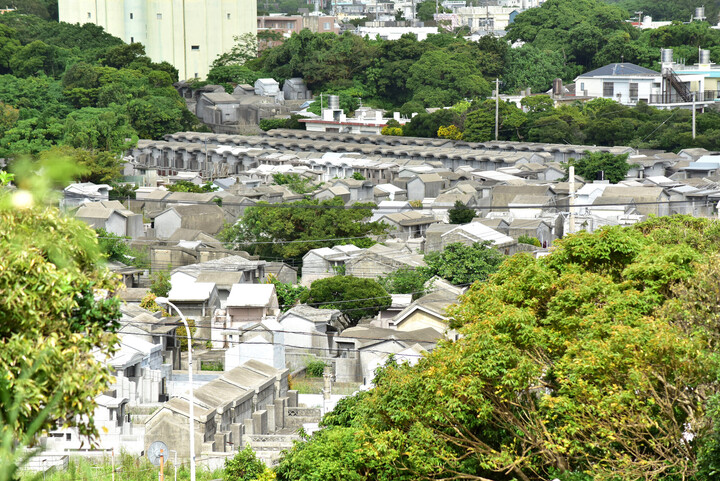 シーミーコラム素材③